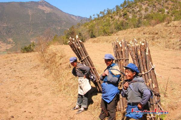 https://mdw-travel-data-us-east-1.s3.amazonaws.com/img/country/China/Baisha-Village/img_02.jpg