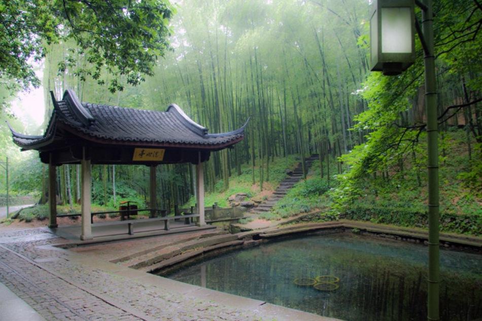 https://mdw-travel-data-us-east-1.s3.amazonaws.com/img/country/China/Bamboo-lined-path-at-Yunqi/img_02.jpg