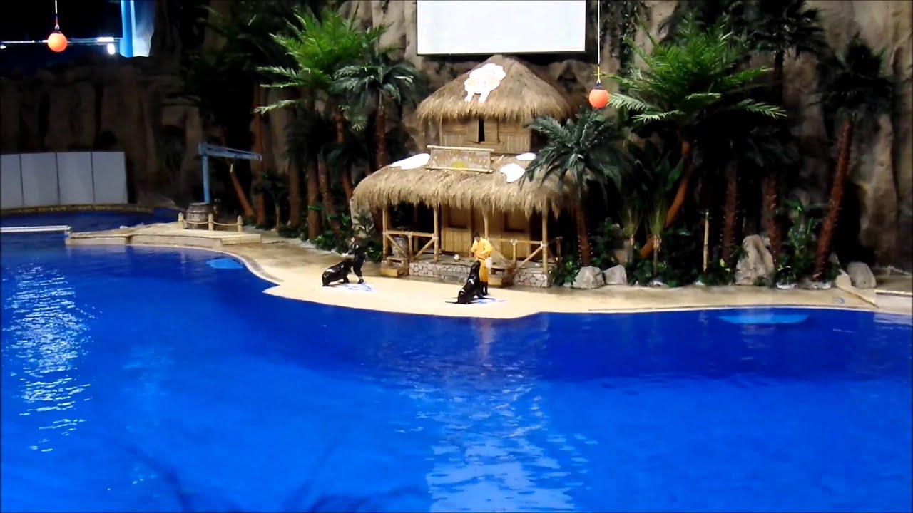 https://mdw-travel-data-us-east-1.s3.amazonaws.com/img/country/China/Beijing-Aquarium/img_01.jpg