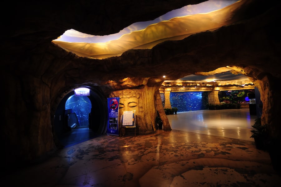 https://mdw-travel-data-us-east-1.s3.amazonaws.com/img/country/China/Beijing-Aquarium/img_05.jpg