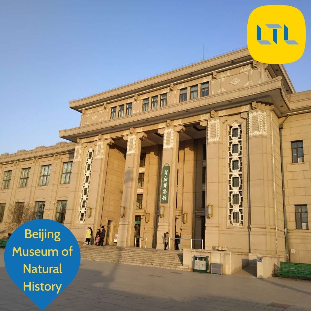 https://mdw-travel-data-us-east-1.s3.amazonaws.com/img/country/China/Beijing-Museum-of-Natural-History/img_02.jpg