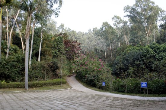 https://mdw-travel-data-us-east-1.s3.amazonaws.com/img/country/China/Bijiashan-National-Forest-Park/img_01.jpg