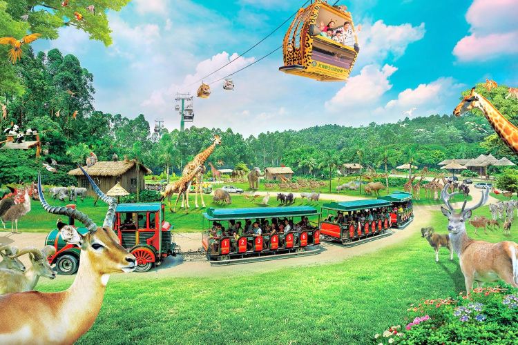 https://mdw-travel-data-us-east-1.s3.amazonaws.com/img/country/China/Chimelong-Safari-Park/img_03.jpg