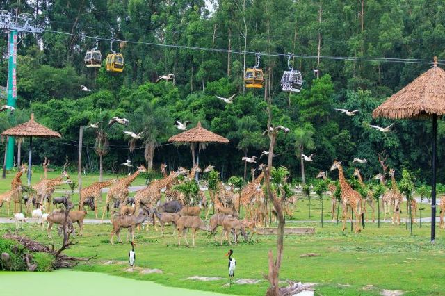 https://mdw-travel-data-us-east-1.s3.amazonaws.com/img/country/China/Chimelong-Safari-Park/img_04.jpg