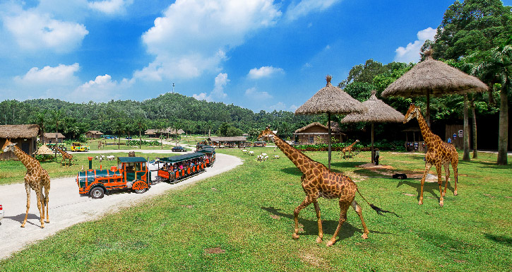 https://mdw-travel-data-us-east-1.s3.amazonaws.com/img/country/China/Chimelong-Safari-Park/img_05.jpg