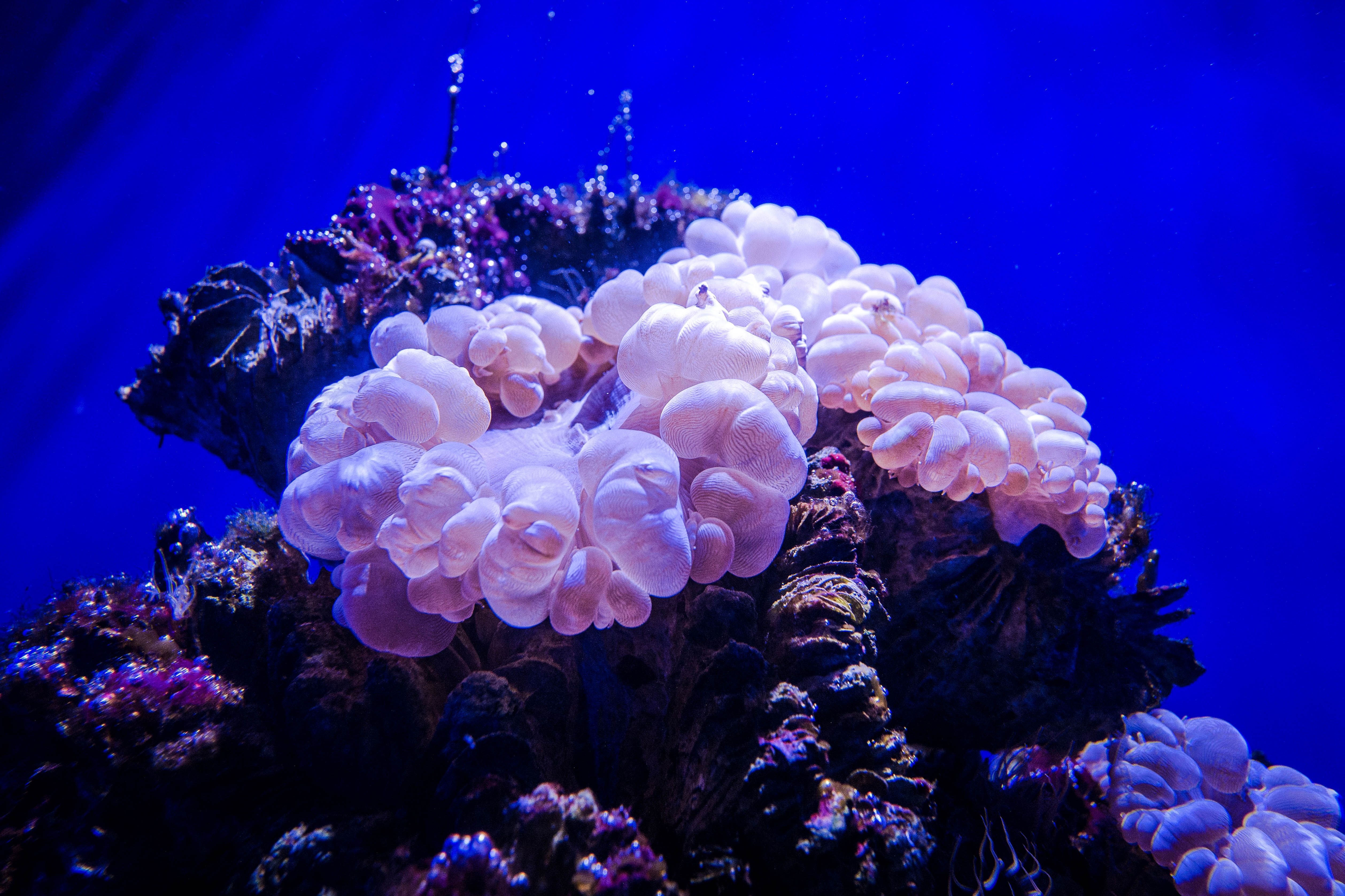 https://mdw-travel-data-us-east-1.s3.amazonaws.com/img/country/China/Dalian-Aquarium/img_04.jpg
