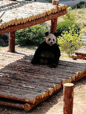 https://mdw-travel-data-us-east-1.s3.amazonaws.com/img/country/China/Dalian-Forest-Zoo/img_04.jpg