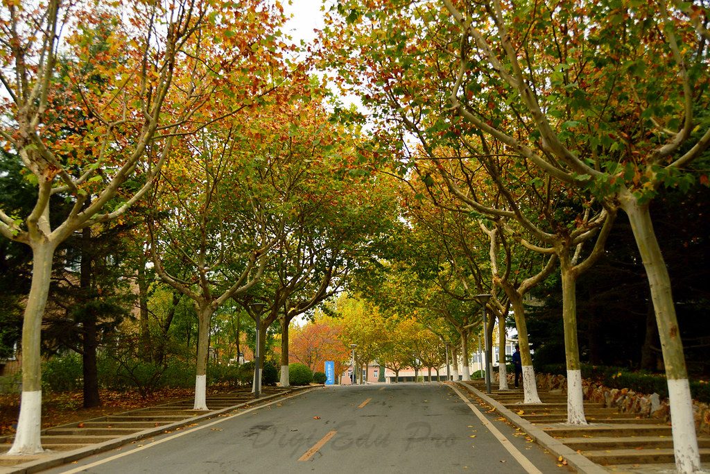 https://mdw-travel-data-us-east-1.s3.amazonaws.com/img/country/China/Dalian-Maritime-University/img_01.jpg