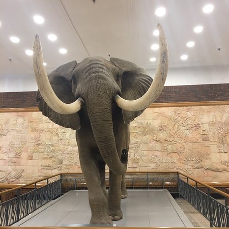 https://mdw-travel-data-us-east-1.s3.amazonaws.com/img/country/China/Dalian-Natural-History-Museum/img_03.jpg