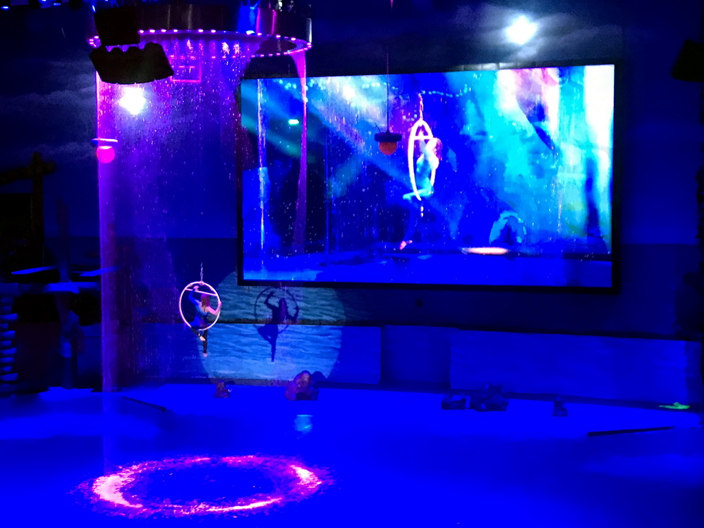 https://mdw-travel-data-us-east-1.s3.amazonaws.com/img/country/China/Dalian-Polar-Aquarium/img_03.jpg