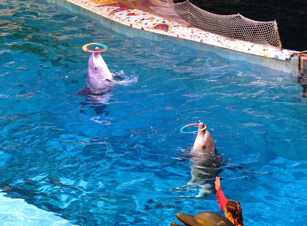 https://mdw-travel-data-us-east-1.s3.amazonaws.com/img/country/China/Dalian-Polar-Aquarium/img_04.jpg