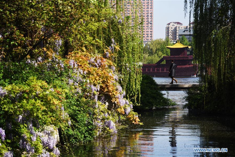 https://mdw-travel-data-us-east-1.s3.amazonaws.com/img/country/China/Daming-Lake-Scenic-Area/img_02.jpg