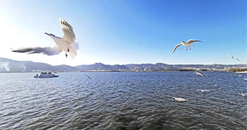 https://mdw-travel-data-us-east-1.s3.amazonaws.com/img/country/China/Dian-Lake/img_04.jpg