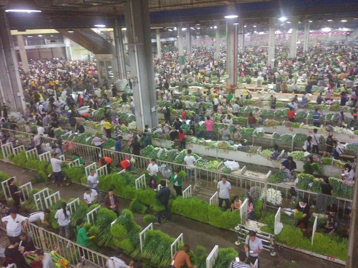 https://mdw-travel-data-us-east-1.s3.amazonaws.com/img/country/China/Dounan-Flower-Market/img_02.jpg