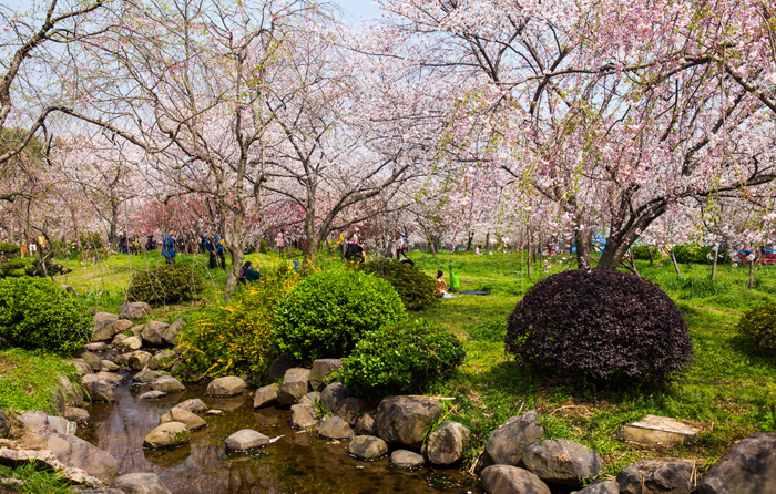 https://mdw-travel-data-us-east-1.s3.amazonaws.com/img/country/China/East-Lake-Park/img_01.jpg