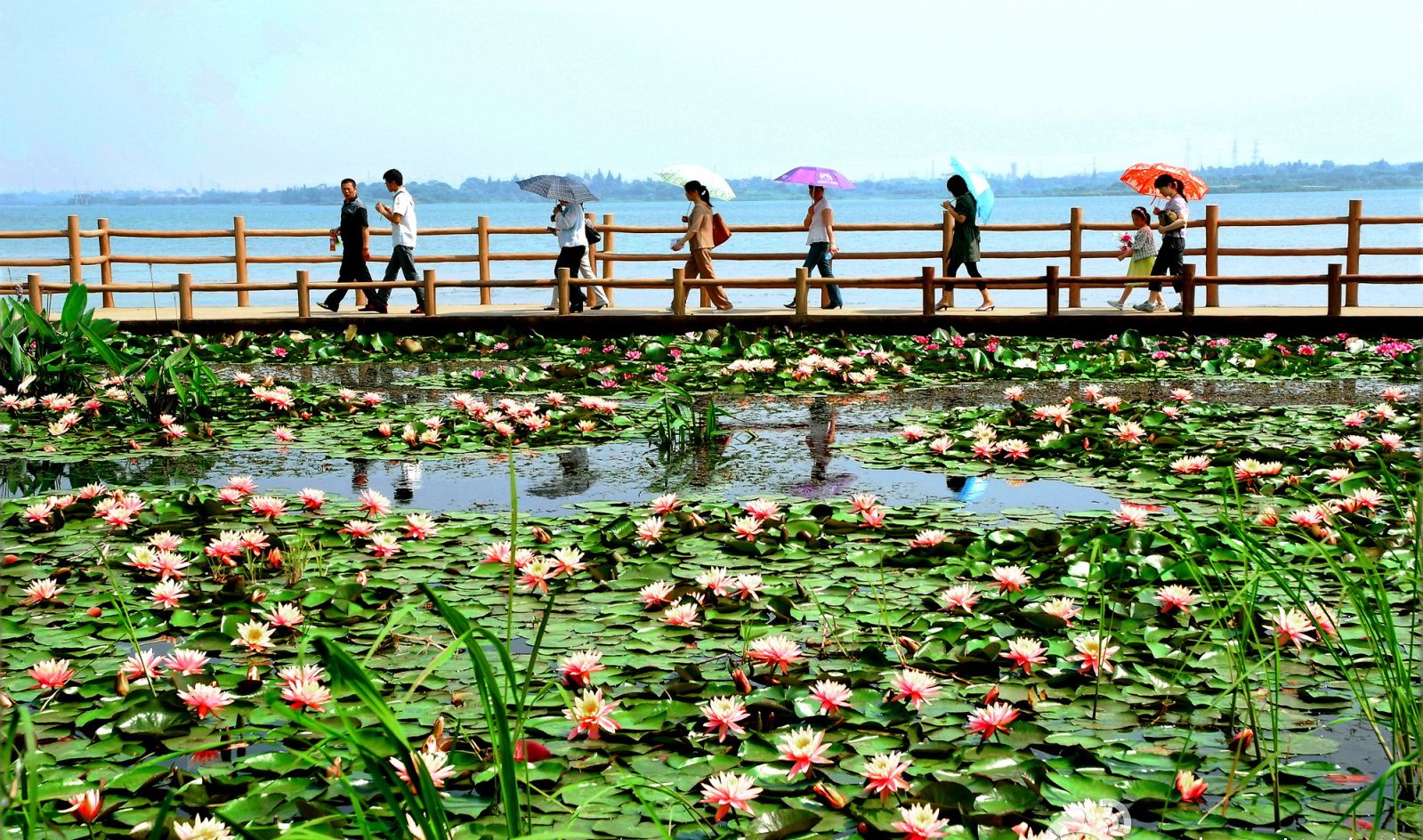 https://mdw-travel-data-us-east-1.s3.amazonaws.com/img/country/China/East-Lake/img_02.jpg