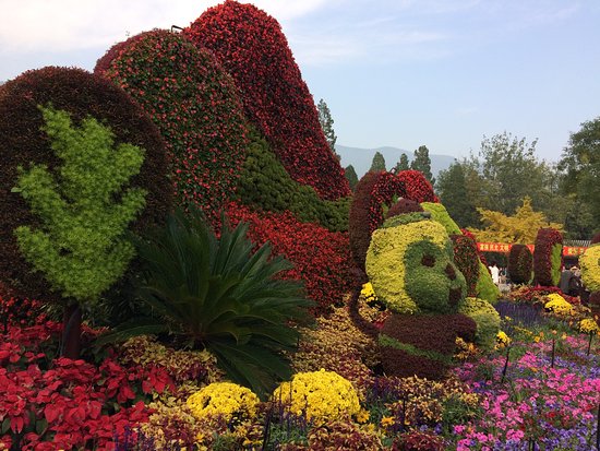https://mdw-travel-data-us-east-1.s3.amazonaws.com/img/country/China/Fragrant-Hills-Park/img_02.jpg