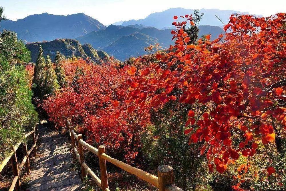 https://mdw-travel-data-us-east-1.s3.amazonaws.com/img/country/China/Fragrant-Hills-Park/img_03.jpg