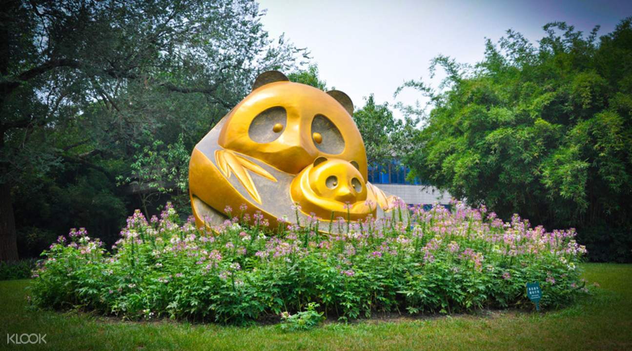 https://mdw-travel-data-us-east-1.s3.amazonaws.com/img/country/China/Giant-Panda-Breeding-Research-Base/img_01.jpg