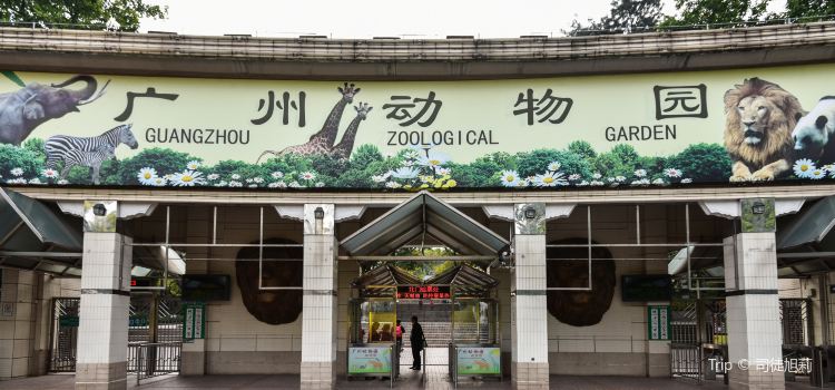 https://mdw-travel-data-us-east-1.s3.amazonaws.com/img/country/China/Guangzhou-Zoo/img_01.jpg