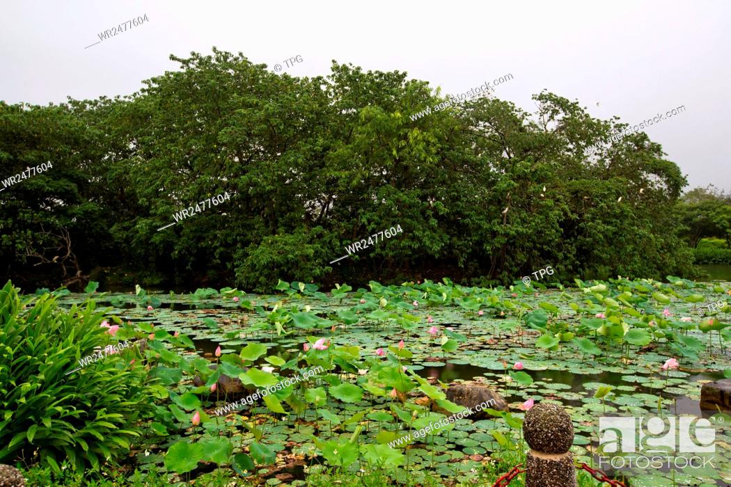 https://mdw-travel-data-us-east-1.s3.amazonaws.com/img/country/China/Guanshan-Water-Park/img_03.jpg