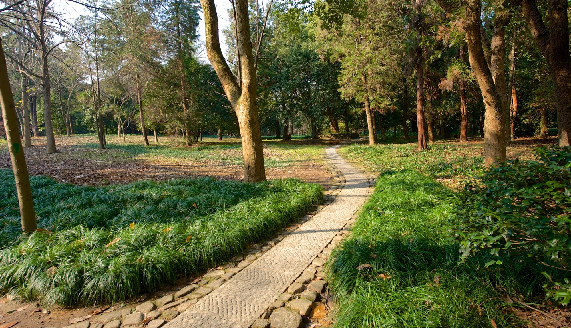 https://mdw-travel-data-us-east-1.s3.amazonaws.com/img/country/China/Hangzhou-Botanical-Garden/img_02.jpg