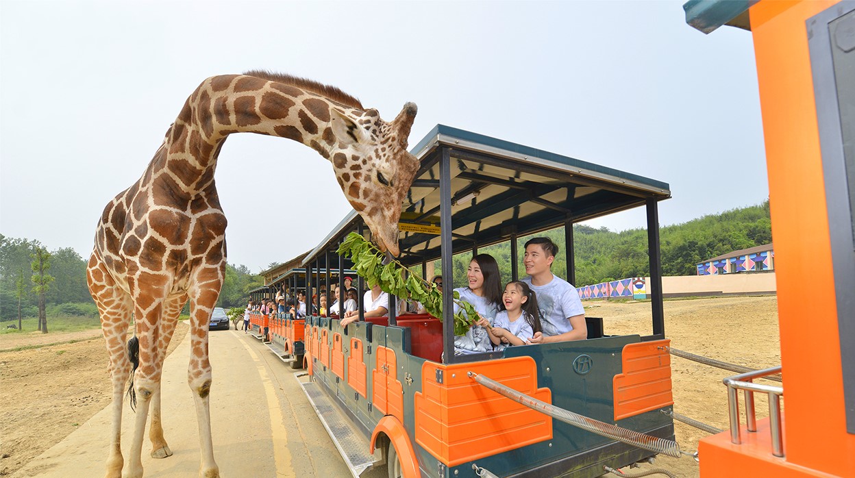 https://mdw-travel-data-us-east-1.s3.amazonaws.com/img/country/China/Hangzhou-Safari-Park/img_01.jpg
