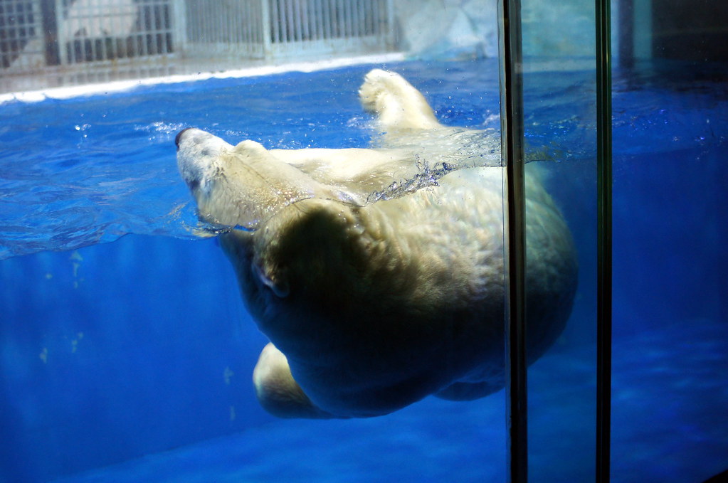 https://mdw-travel-data-us-east-1.s3.amazonaws.com/img/country/China/Harbin-Polar-Museum/img_01.jpg