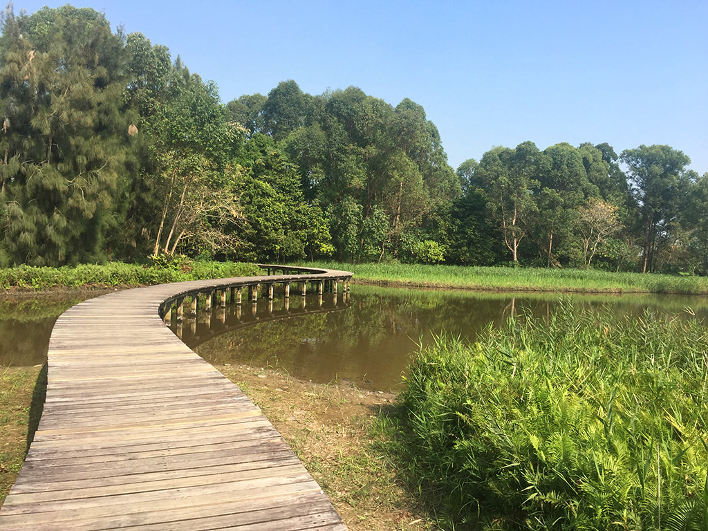 https://mdw-travel-data-us-east-1.s3.amazonaws.com/img/country/China/Hong-Kong-Wetland-Park/img_02.jpg