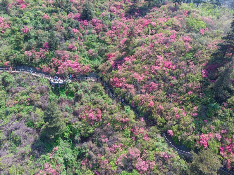 https://mdw-travel-data-us-east-1.s3.amazonaws.com/img/country/China/Huangpi-Mulan-Culture-Ecological-Zone/img_03.jpg