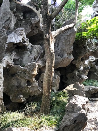 https://mdw-travel-data-us-east-1.s3.amazonaws.com/img/country/China/Lion-Forest-Garden/img_02.jpg