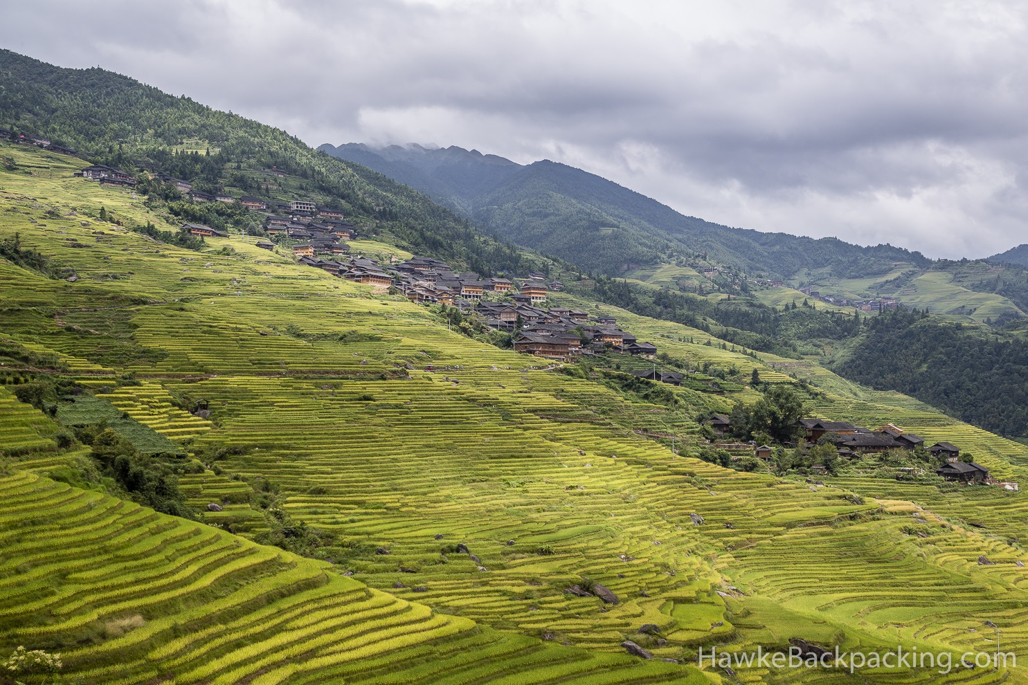https://mdw-travel-data-us-east-1.s3.amazonaws.com/img/country/China/Longji-Rice-Terraces/img_01.jpg