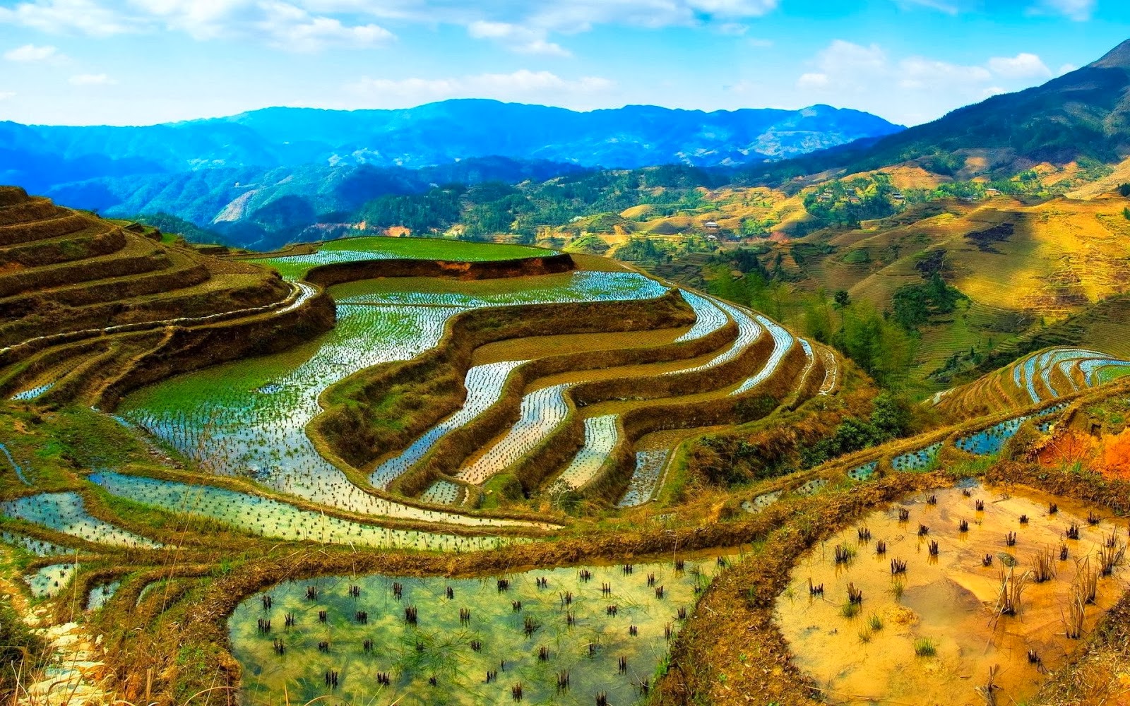 https://mdw-travel-data-us-east-1.s3.amazonaws.com/img/country/China/Longji-Rice-Terraces/img_04.jpg