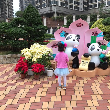 https://mdw-travel-data-us-east-1.s3.amazonaws.com/img/country/China/Macau-Giant-Panda-Pavilion/img_02.jpg