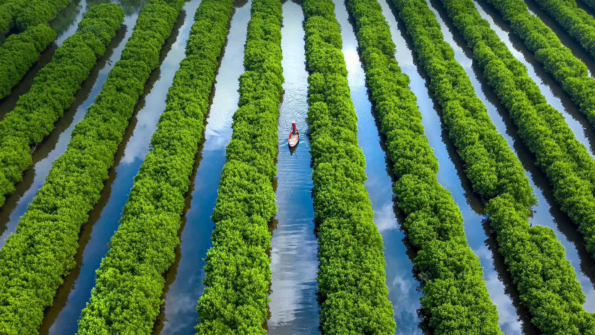 https://mdw-travel-data-us-east-1.s3.amazonaws.com/img/country/China/Mangrove-Forest/img_01.jpg