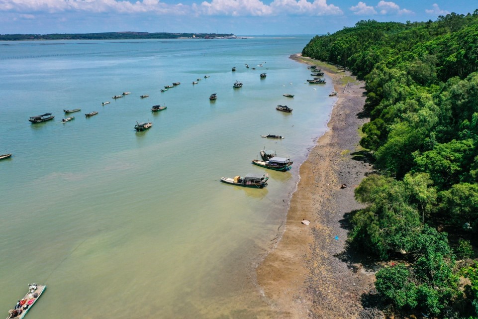https://mdw-travel-data-us-east-1.s3.amazonaws.com/img/country/China/Mangrove-Forest/img_02.jpg
