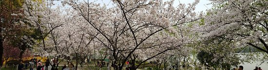 https://mdw-travel-data-us-east-1.s3.amazonaws.com/img/country/China/Mochou-Lake/img_05.jpg