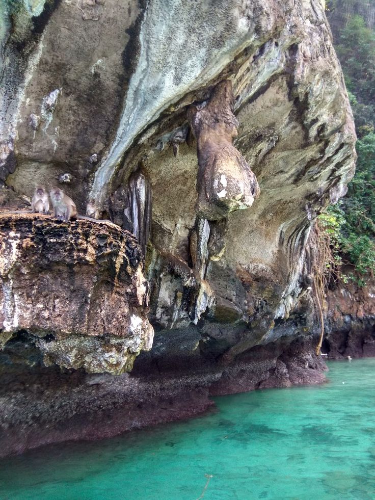 https://mdw-travel-data-us-east-1.s3.amazonaws.com/img/country/China/Monkey-Island/img_01.jpg