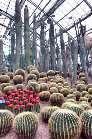 https://mdw-travel-data-us-east-1.s3.amazonaws.com/img/country/China/Nanshan-Botanical-Garden/img_02.jpg
