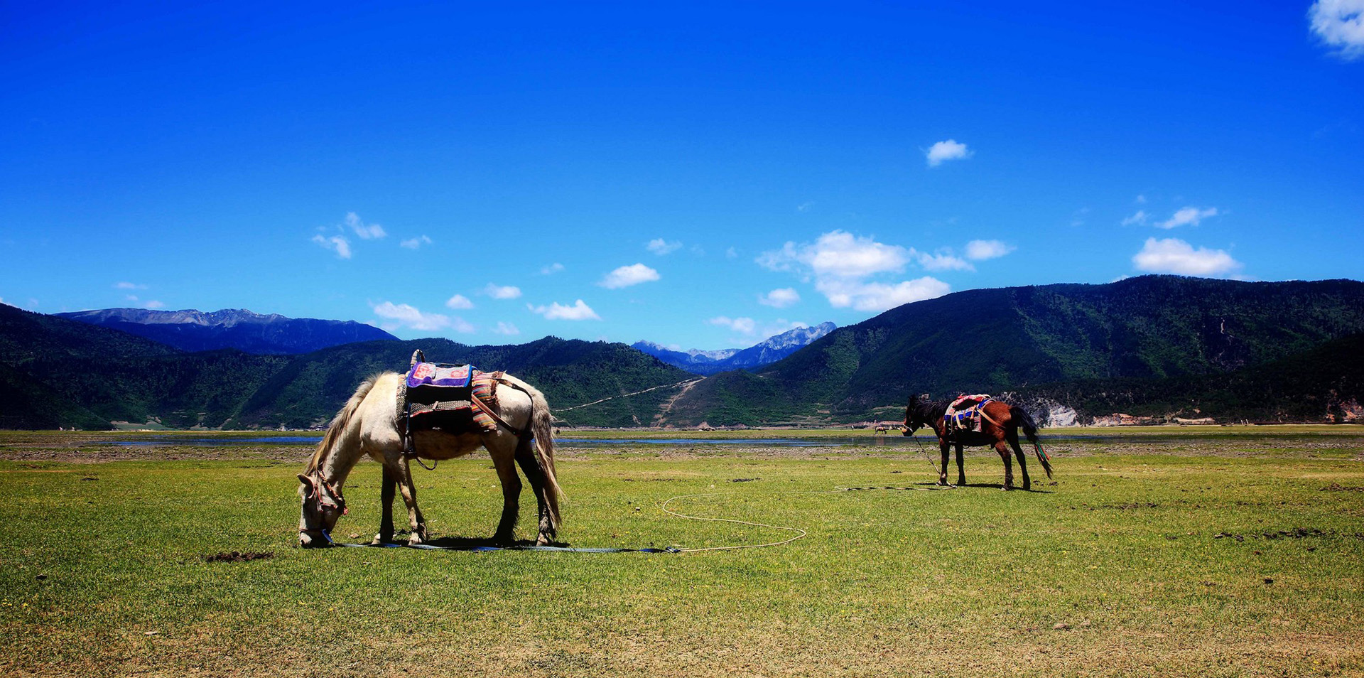 https://mdw-travel-data-us-east-1.s3.amazonaws.com/img/country/China/Napahai-Nature-Reserve/img_01.jpg