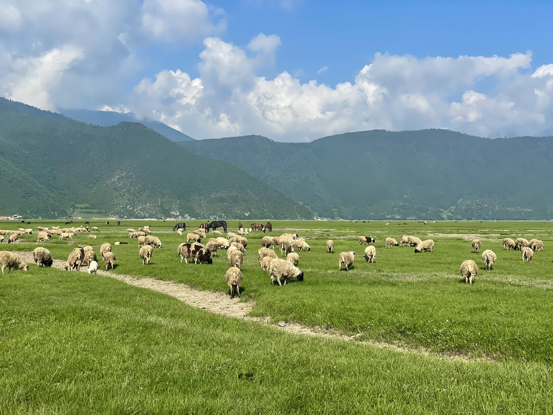 https://mdw-travel-data-us-east-1.s3.amazonaws.com/img/country/China/Napahai-Nature-Reserve/img_02.jpg