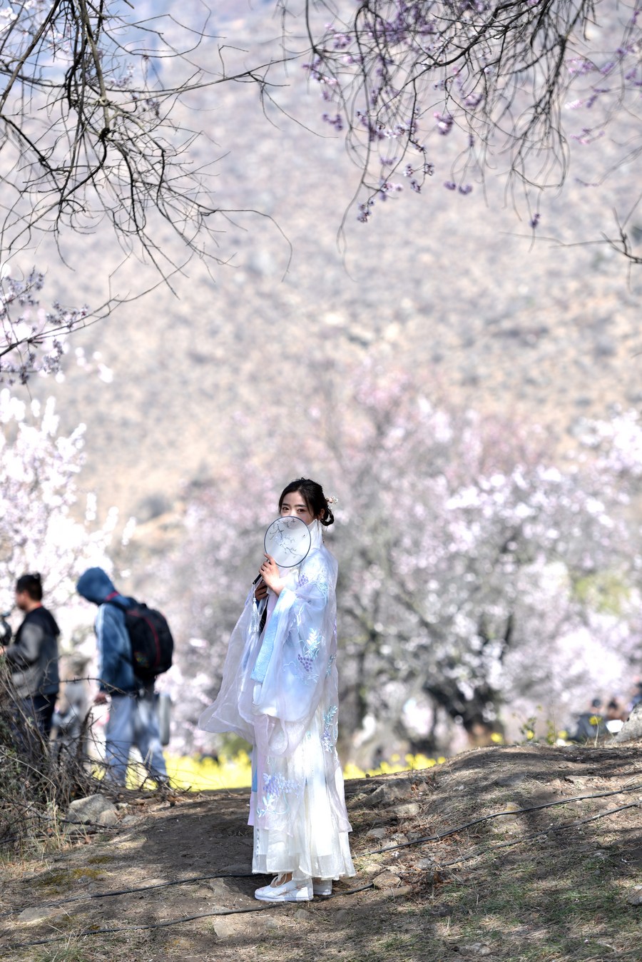 https://mdw-travel-data-us-east-1.s3.amazonaws.com/img/country/China/Pengshan-Peach-Blossom/img_01.jpg