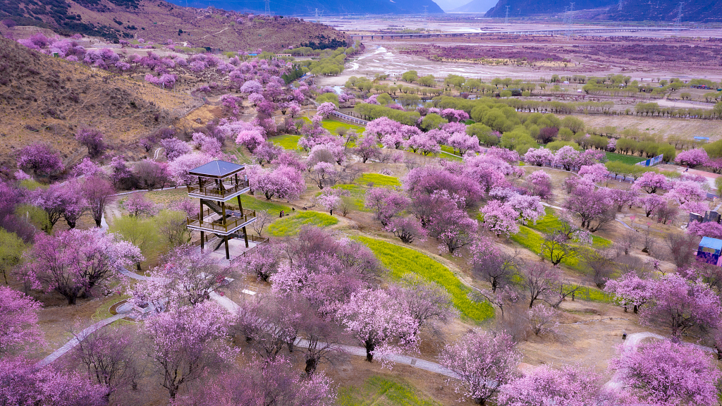 https://mdw-travel-data-us-east-1.s3.amazonaws.com/img/country/China/Pengshan-Peach-Blossom/img_02.jpg