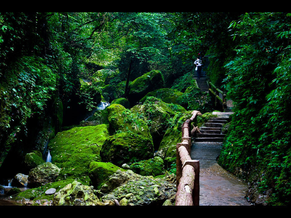 https://mdw-travel-data-us-east-1.s3.amazonaws.com/img/country/China/Qingcheng-Mountain/img_03.jpg