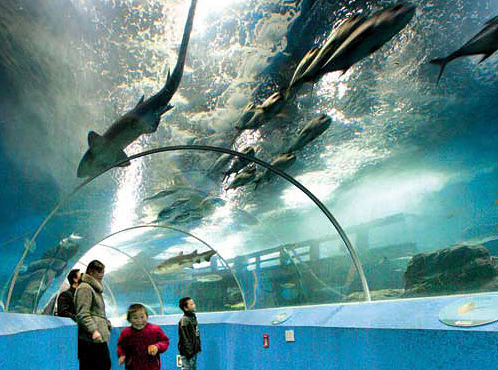 https://mdw-travel-data-us-east-1.s3.amazonaws.com/img/country/China/Qingdao-Aquarium/img_02.jpg