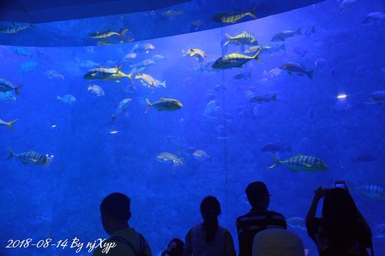 https://mdw-travel-data-us-east-1.s3.amazonaws.com/img/country/China/Qingdao-Polar-Ocean-World/img_05.jpg