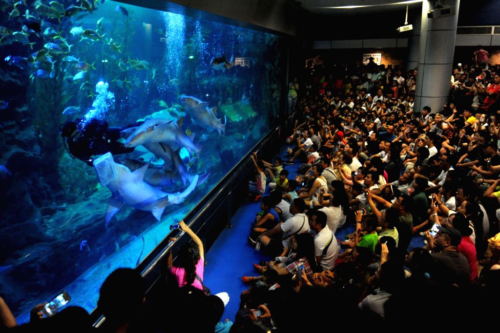https://mdw-travel-data-us-east-1.s3.amazonaws.com/img/country/China/Qingdao-Underwater-World/img_03.jpg
