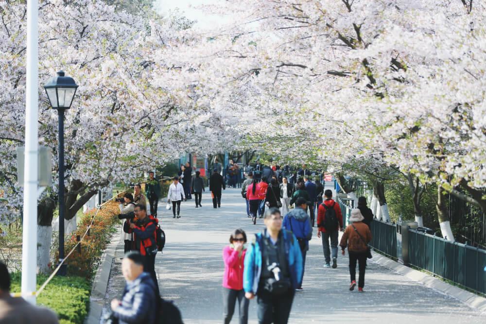 https://mdw-travel-data-us-east-1.s3.amazonaws.com/img/country/China/Qingdao-Zhongshan-Park/img_01.jpg