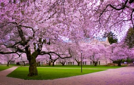 https://mdw-travel-data-us-east-1.s3.amazonaws.com/img/country/China/Qingdao-Zhongshan-Park/img_03.jpg