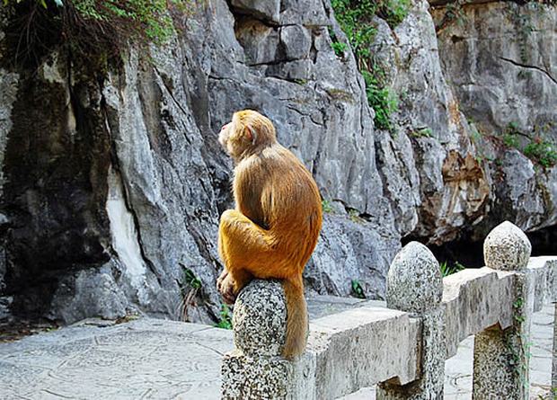 https://mdw-travel-data-us-east-1.s3.amazonaws.com/img/country/China/Seven-Star-Park/img_03.jpg